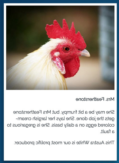 ibid